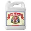 CarboLoad Liquid 5L