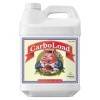 CarboLoad Liquid 10L