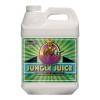 Jungle Juice Grow B 10L