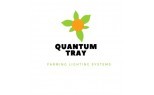 Quantum Tray